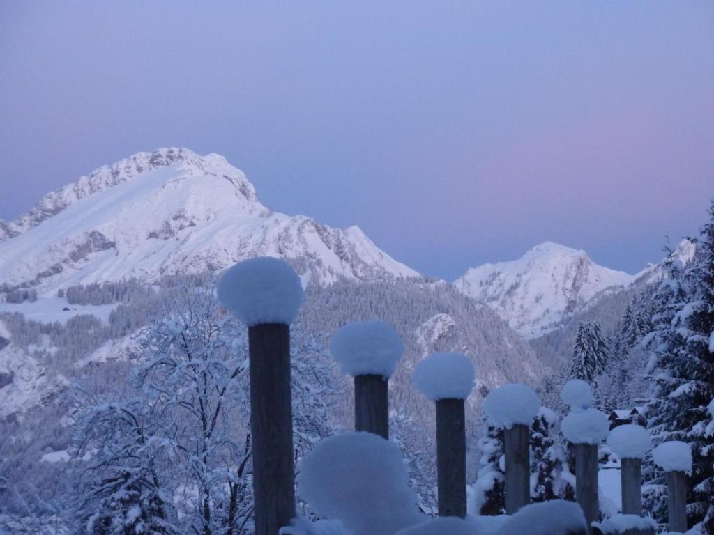 Le Roitelet 호텔 Châtel 외부 사진